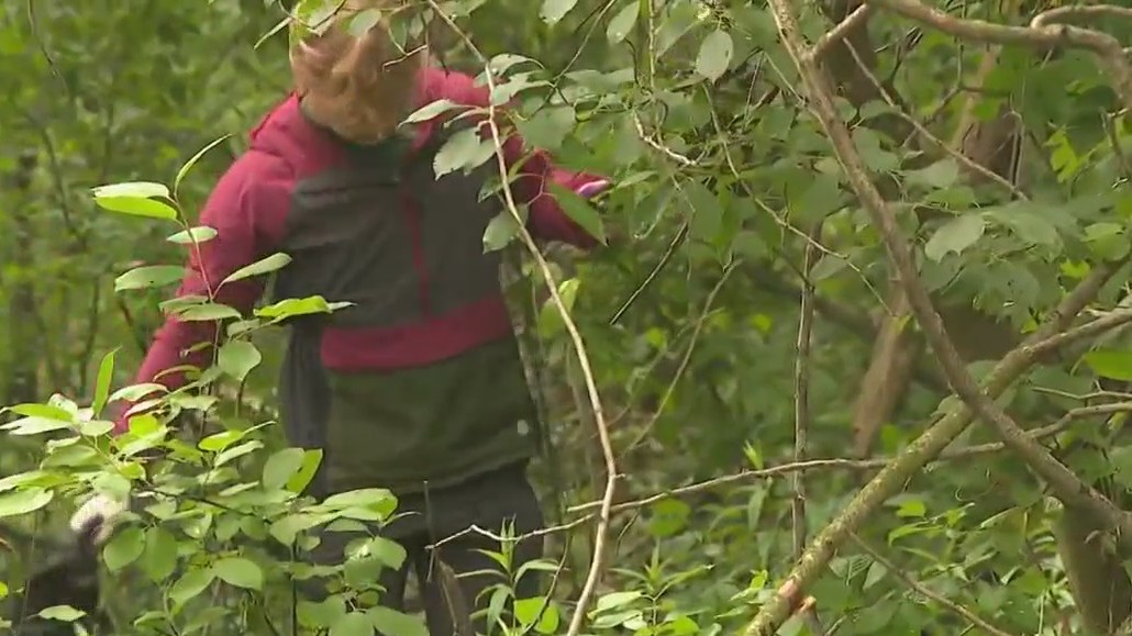 At Schlitz Audubon, conservation of their forests, ponds, and prairies is a top priority