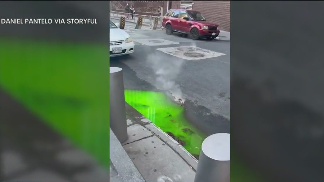 Green 'slime' puzzles New Yorkers