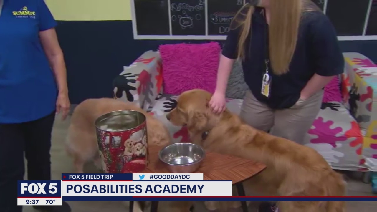 FOX 5 FIELD TRIP: PosAbilities Academy in Leesburg