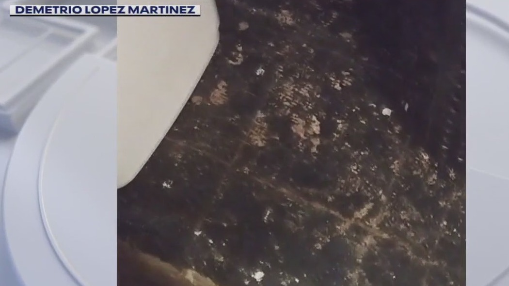 South Bay couple fighting landlord over living conditions