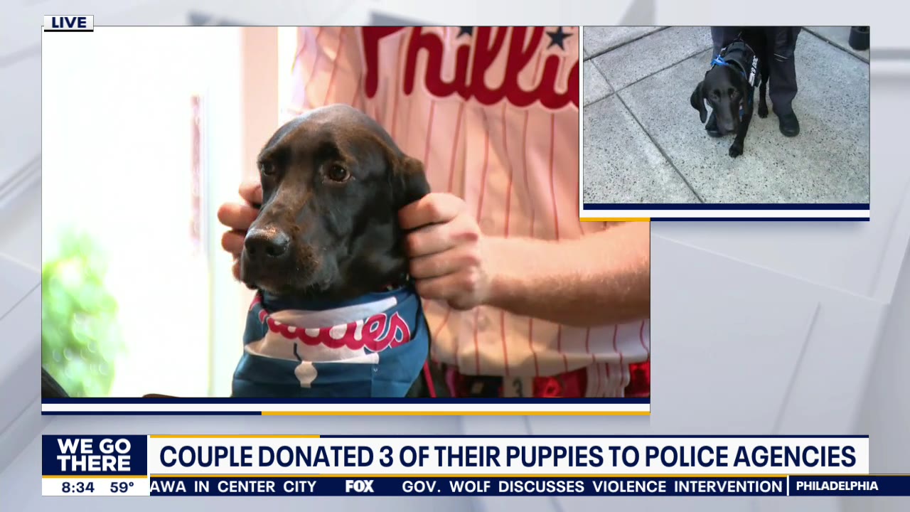 Phillies pitcher Archie Bradley, fiancée donate puppies to local police departments