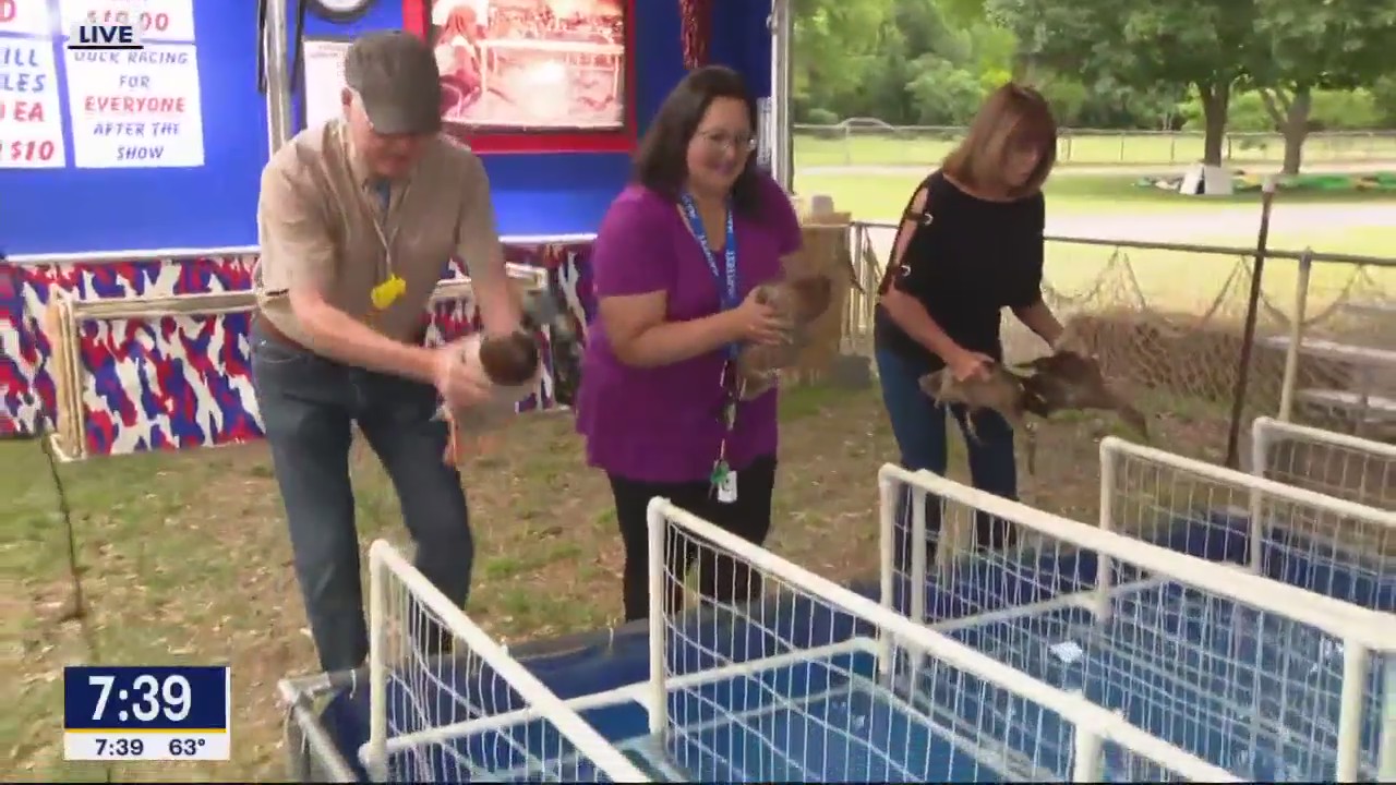 Duck races return to Mayfest in Fort Worth