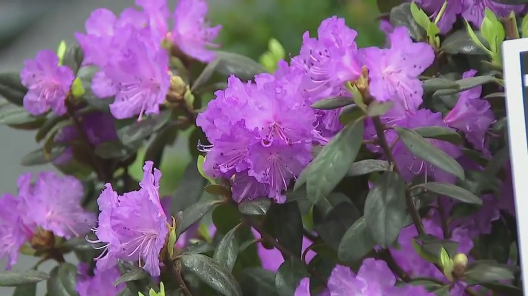 container gardening to composting