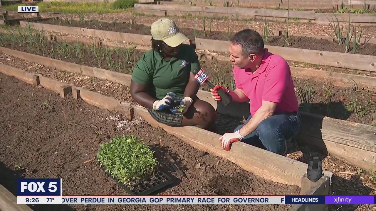 Atlanta festival highlights food journey from planting to plating