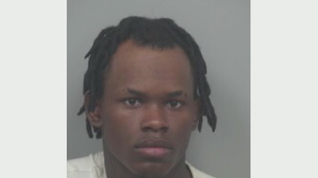 Man charged with murder of daughter left in car during arrest