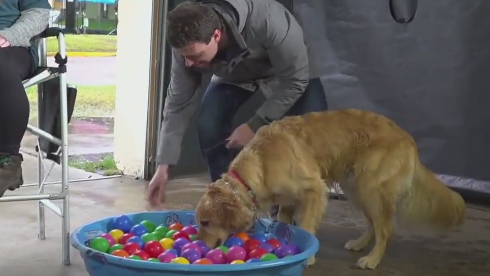 Tips for training your dog from Animal Humane Society