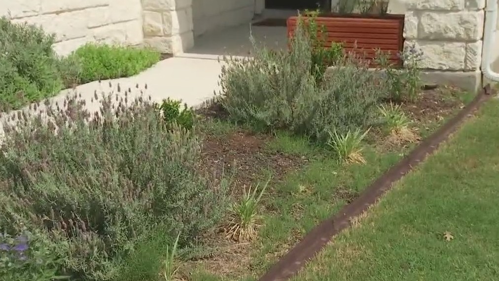 Gardening expert shares tips on how to use mulch
