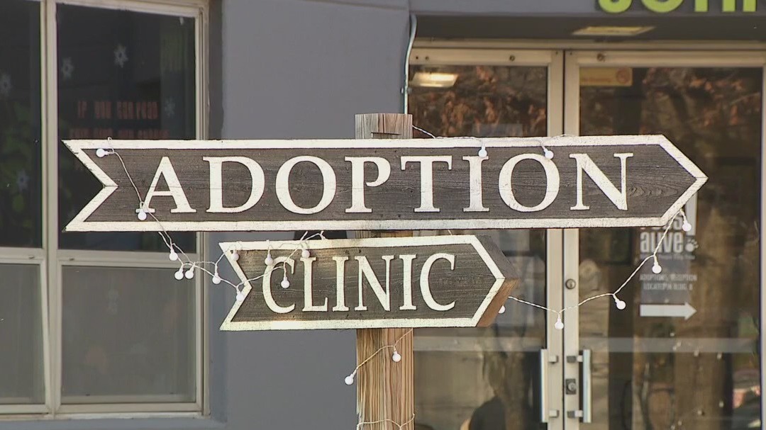 Dogs fostered ahead of arctic blast: APA!
