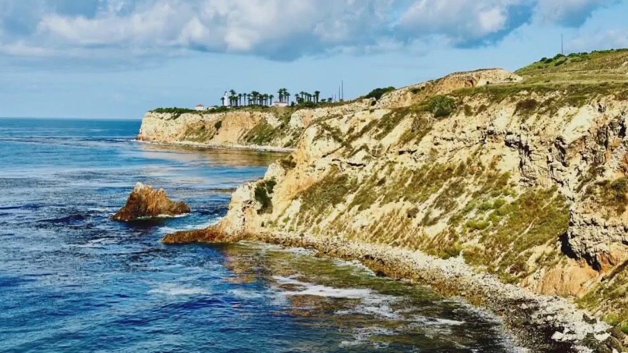 Austin Travels: California getaway