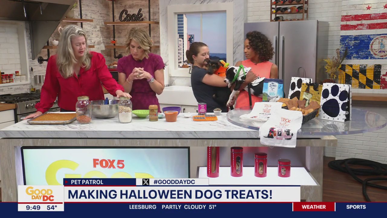 How to make your own dog treats this Halloween!