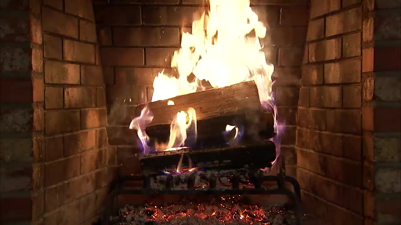 Holiday log