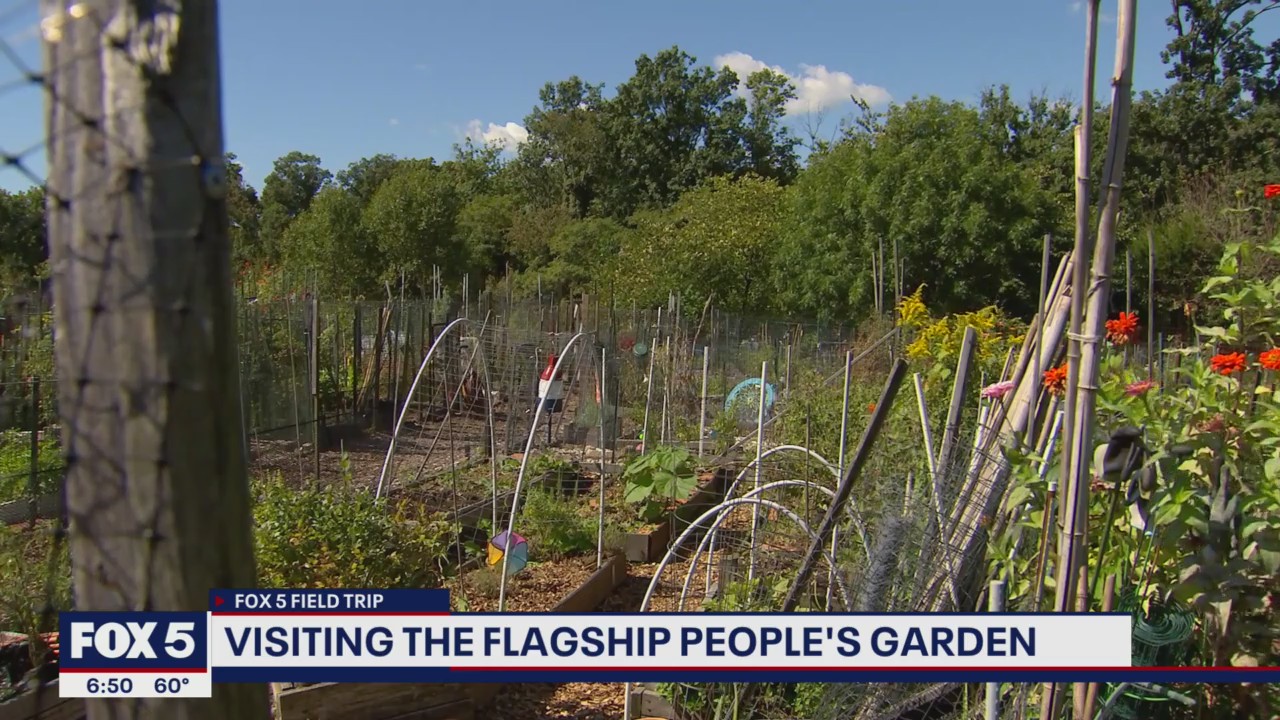 People’s Garden movement aims to educate, encourage others to grown own food