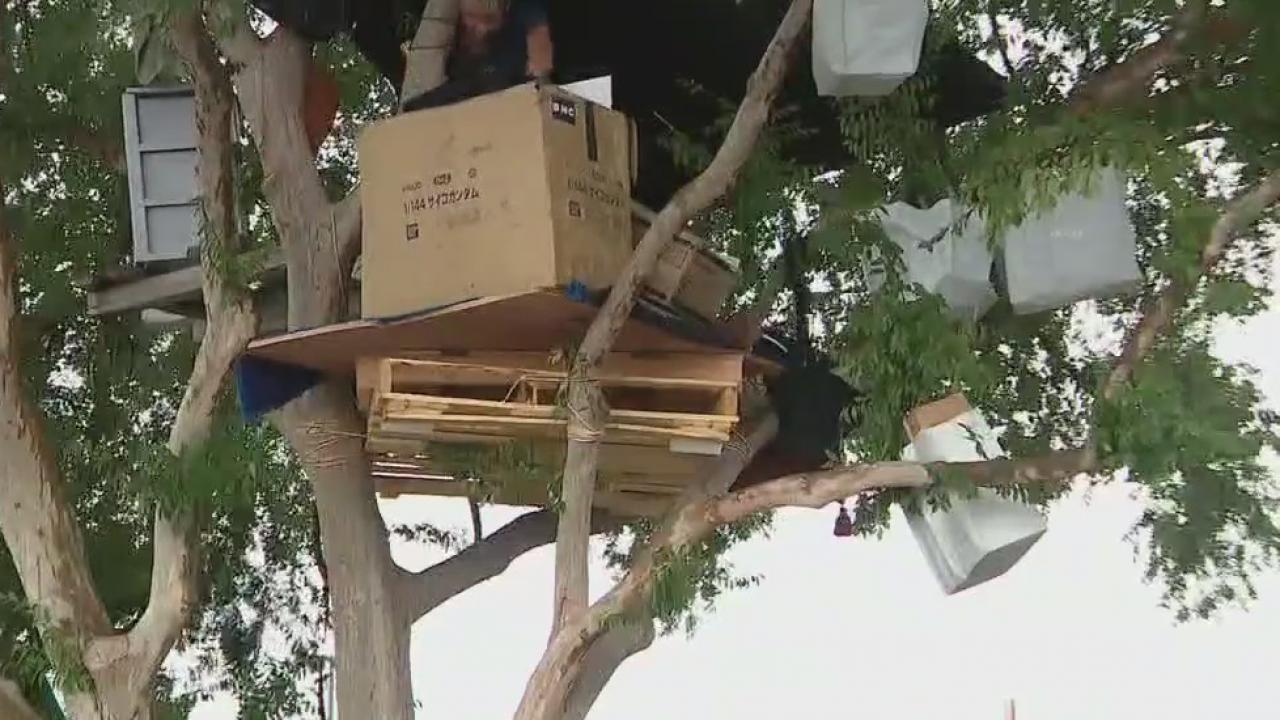 Texas homeless man builds house in tree