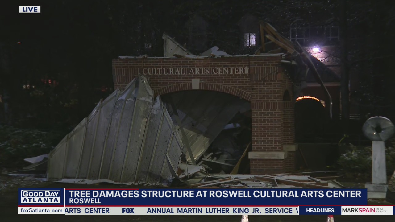 Strong winter storms topple trees in Georgia
