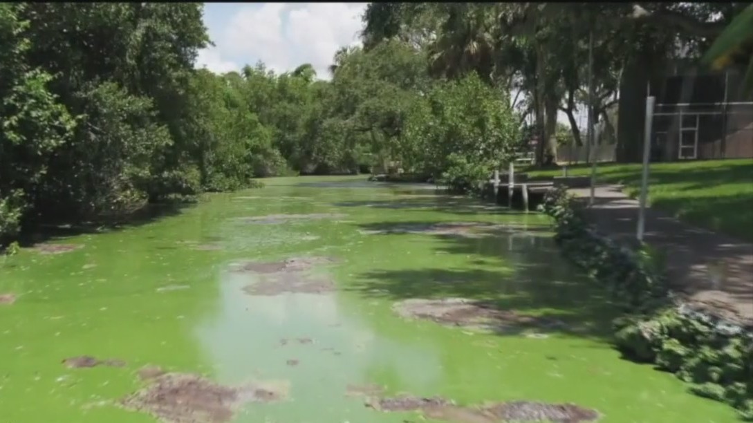 Florida toxic water crisis could be turning around
