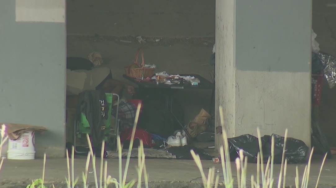 Homeless report to be made public