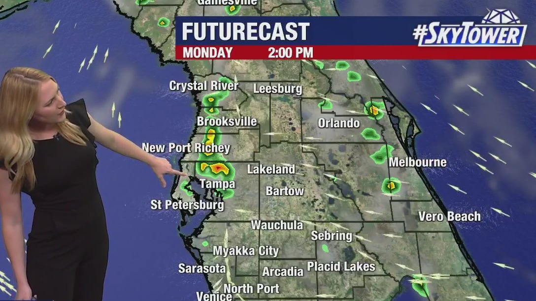 Tampa weather: Comfortable Sunday evening