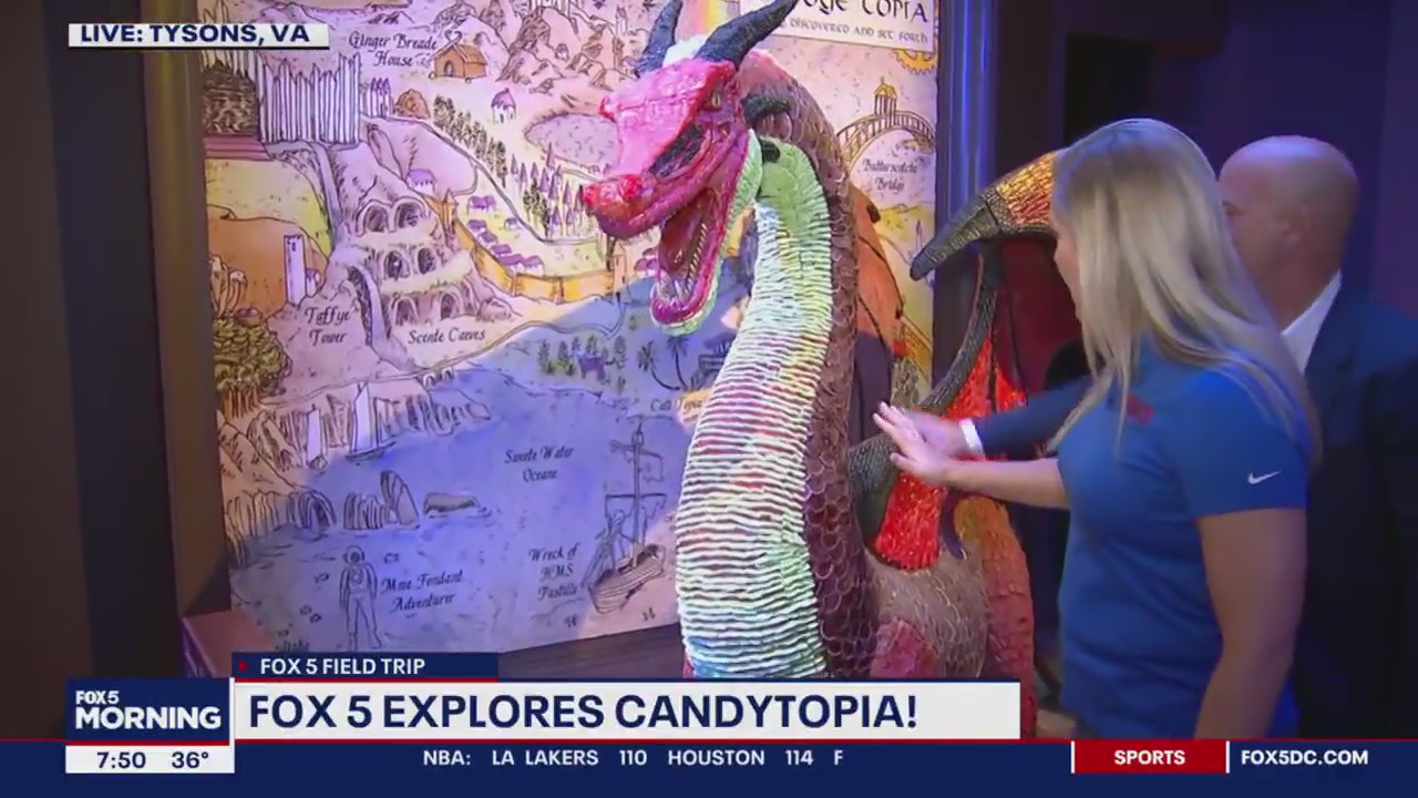 FOX 5 Field Trip: Exploring the world of Candytopia!