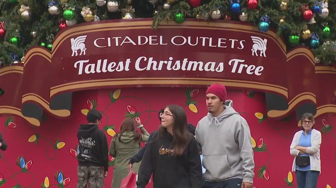 Holiday shopping safety tips