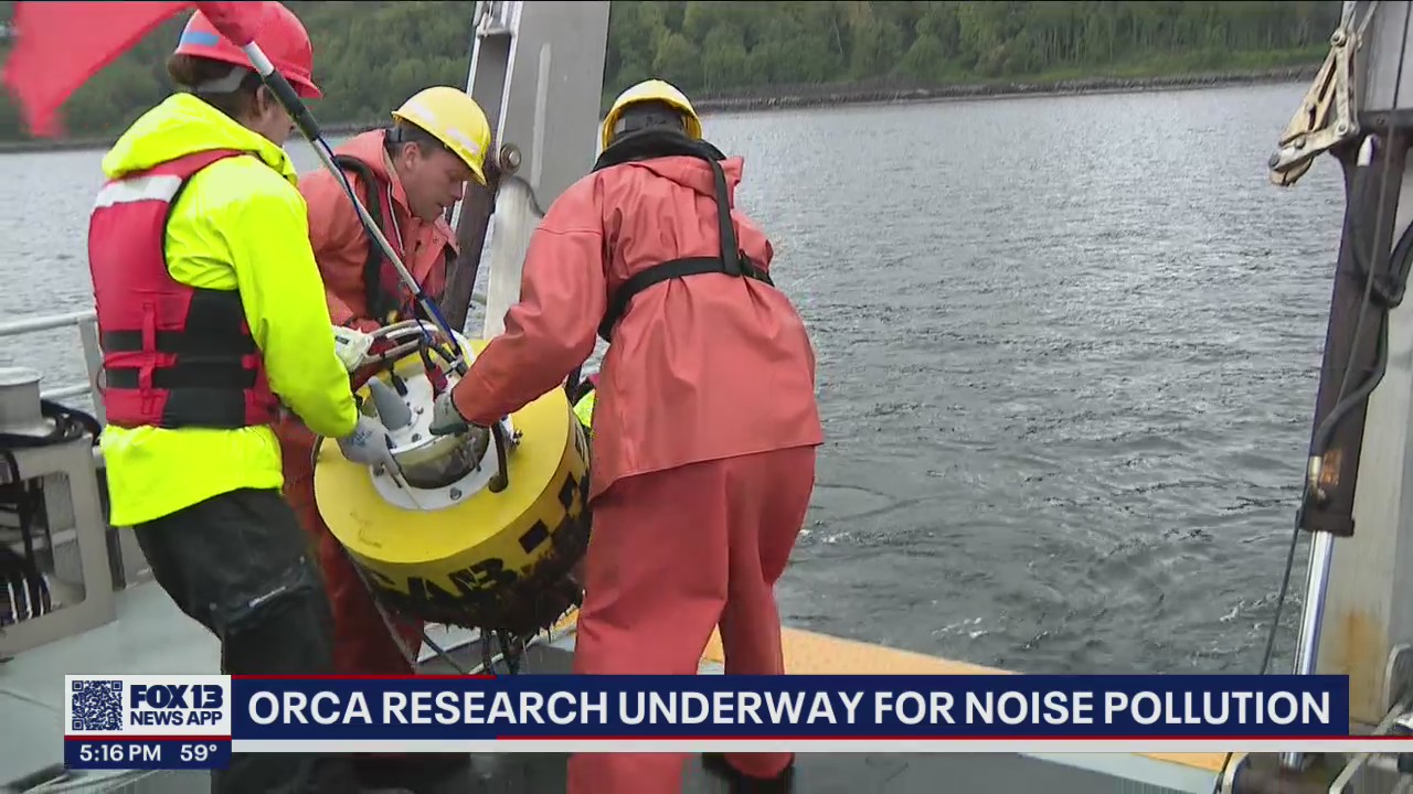 Research on 'noise pollution' underway in Puget Sound