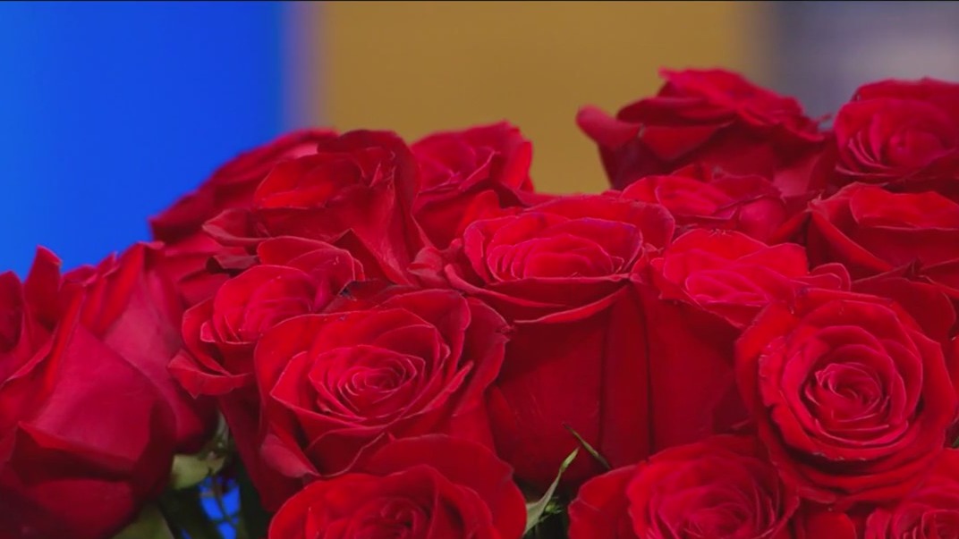 Get crafty this holiday season with Fifty Flower's Bouquet Bars