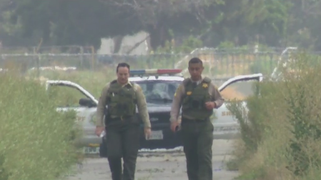 Woman, 2 dogs struck and killed by lightning in Pico Rivera