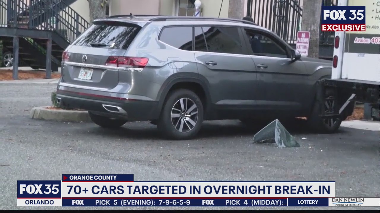 More than 70 cars broken into in Avalon Park