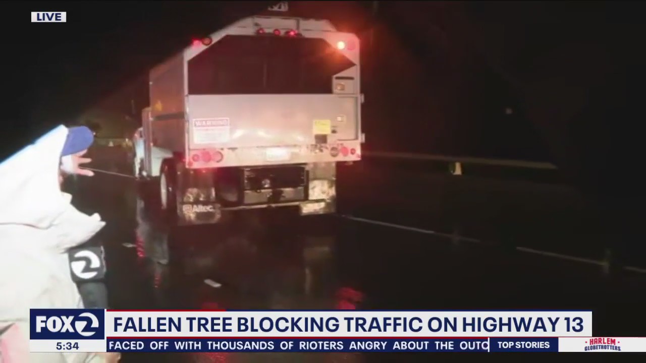 Tree falls on Highway 13 near Moraga