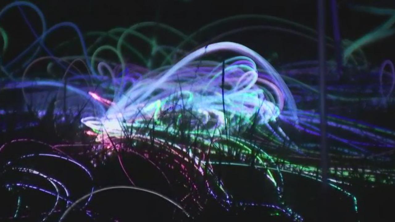 Field of Light at Lady Bird Johnson Wildflower Center