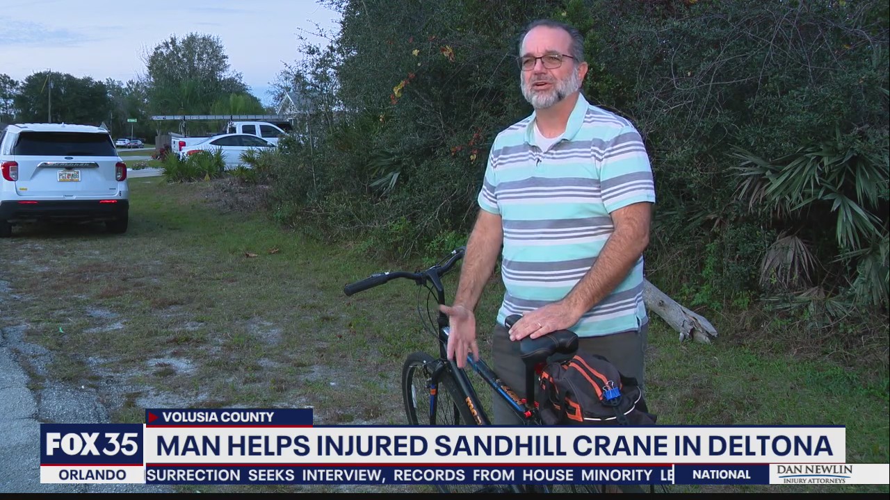 Florida man finds arrow sticking out of protected sandhill crane