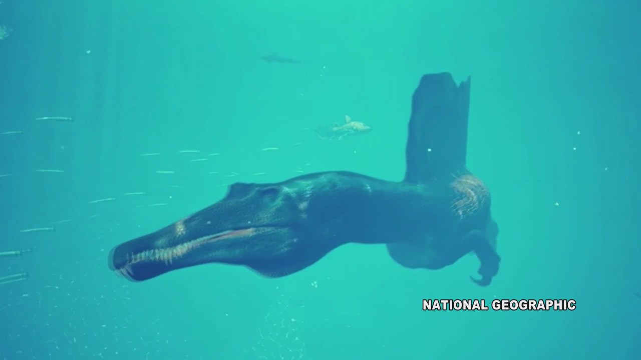 Chicagos Field Museum to welcome Spinosaurus
