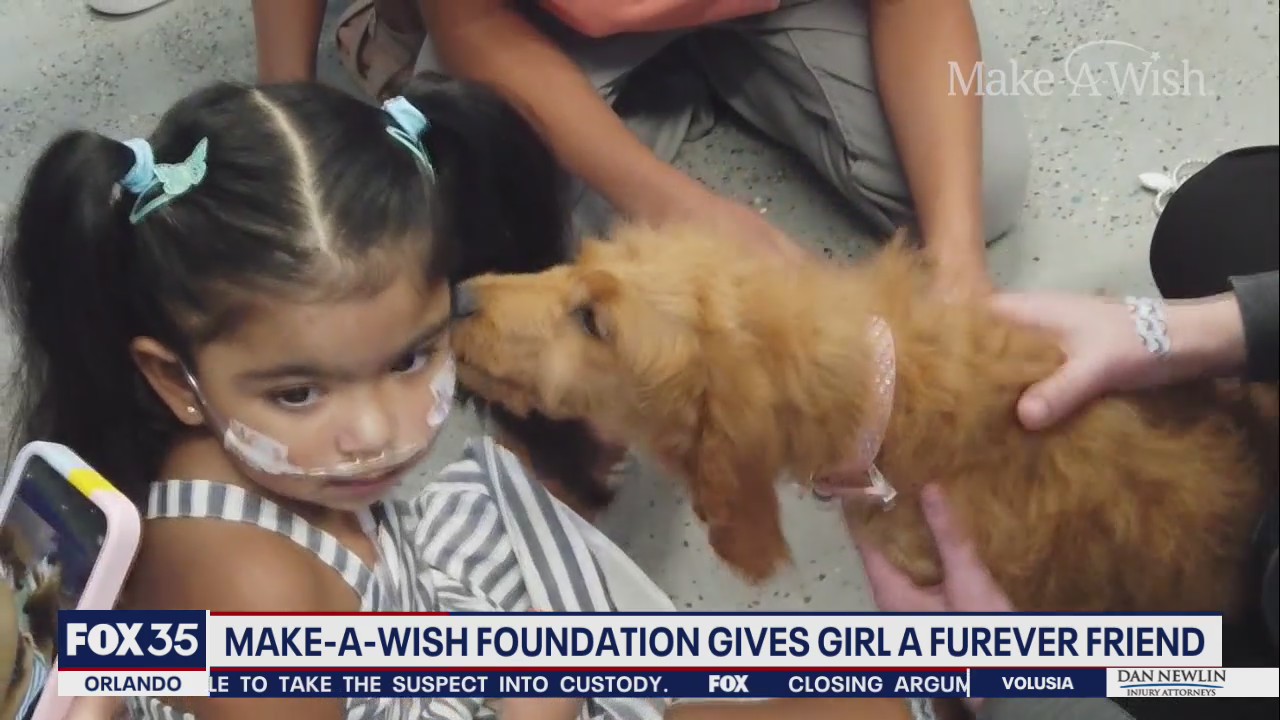 Make-A-Wish Foundation give girl 'furever' friend