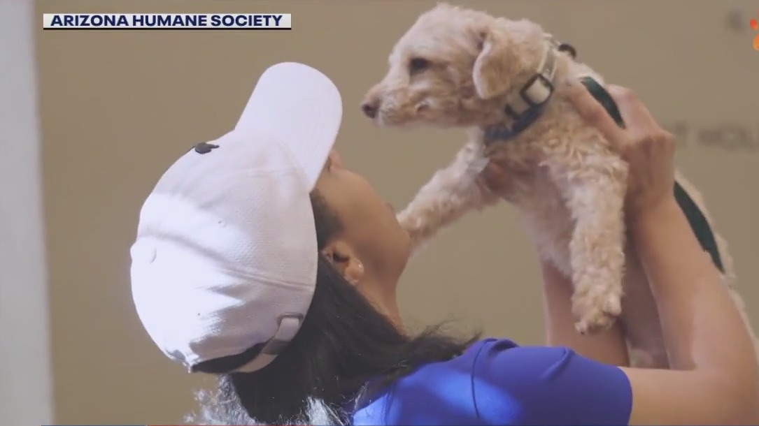 Sergeant reunited with dog after a year