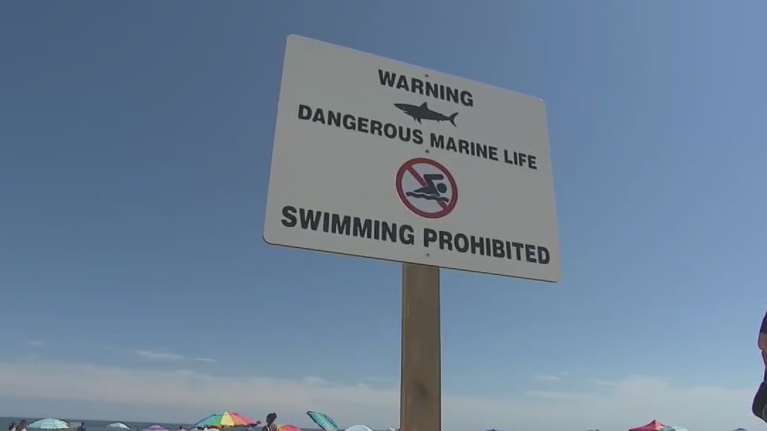 Shark bites lifeguard at beach during training exercise on Long Island