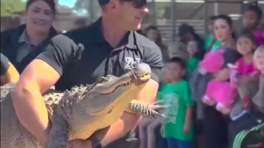 7-foot alligator found inside Texas home