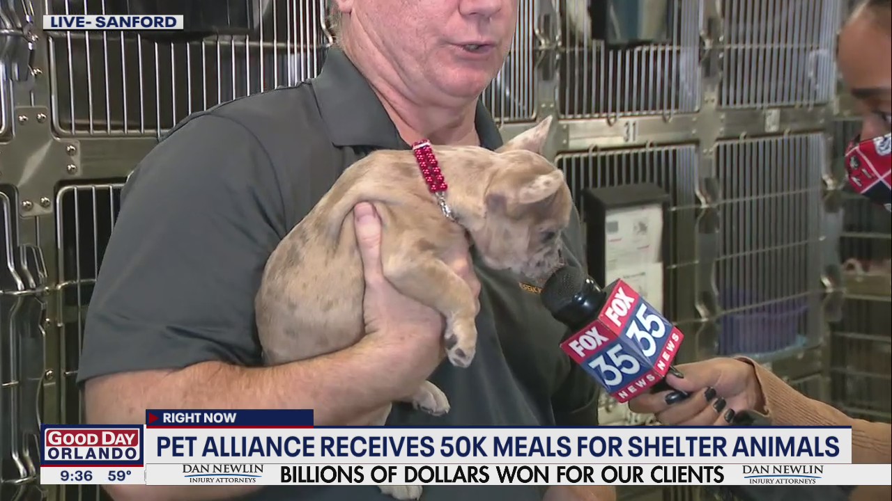 Pet Alliance receives 50,000 meals for shelter animals