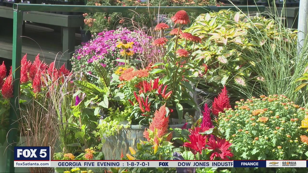 Easy ways to bring fall colors to your garden