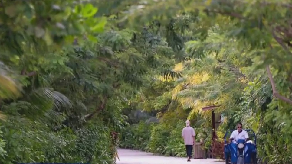 Austin Travels: The Maldives