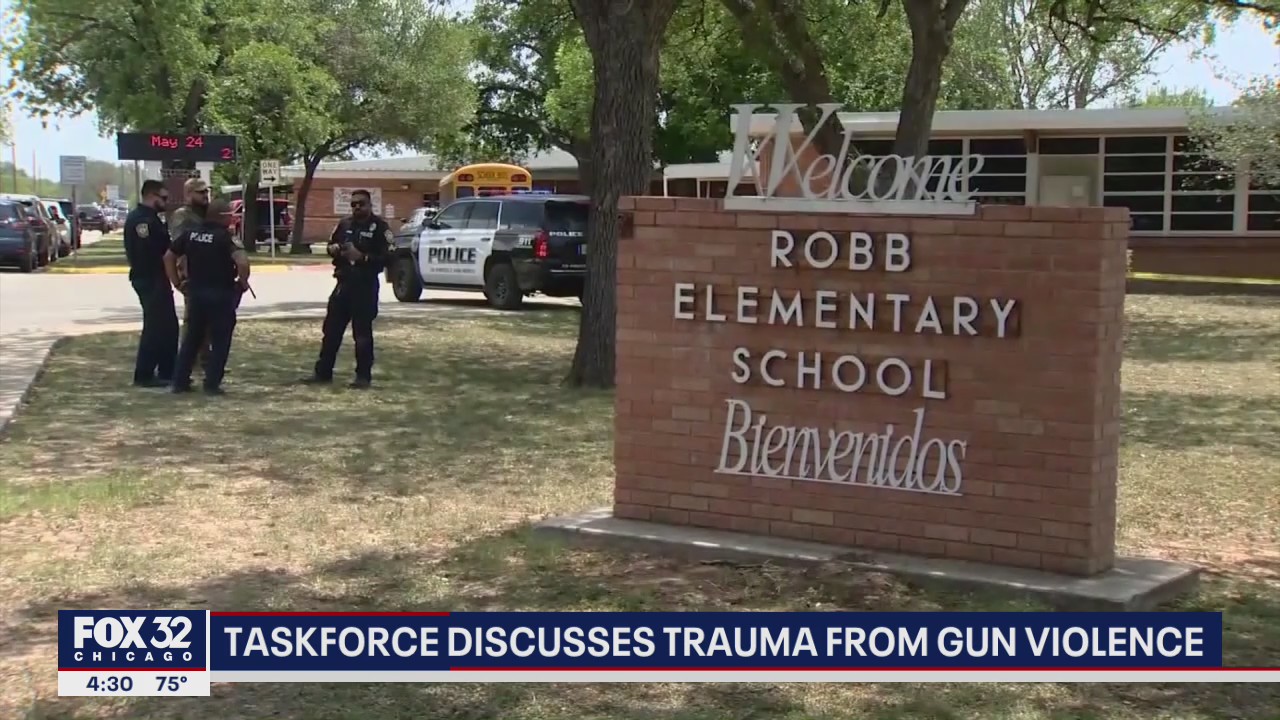 Trauma, mental health in Illinois youth took center stage at special taskforce meeting