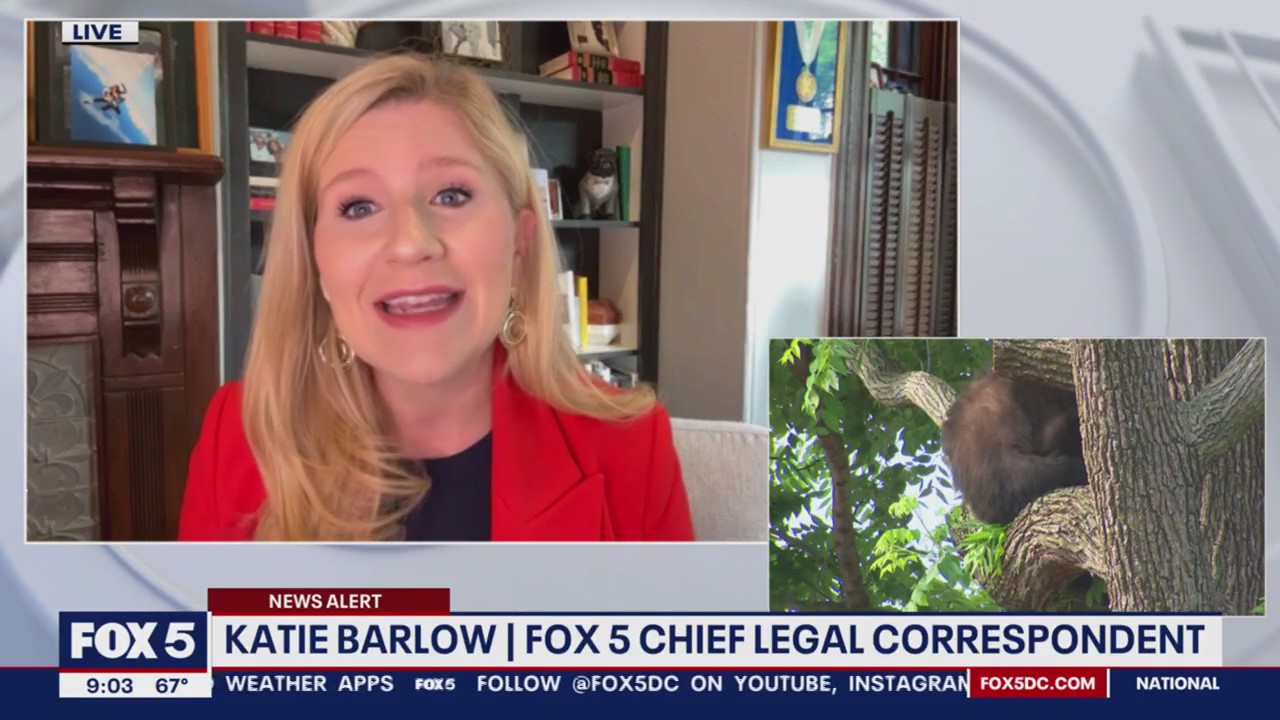 Analysis: Former President Trump indictment