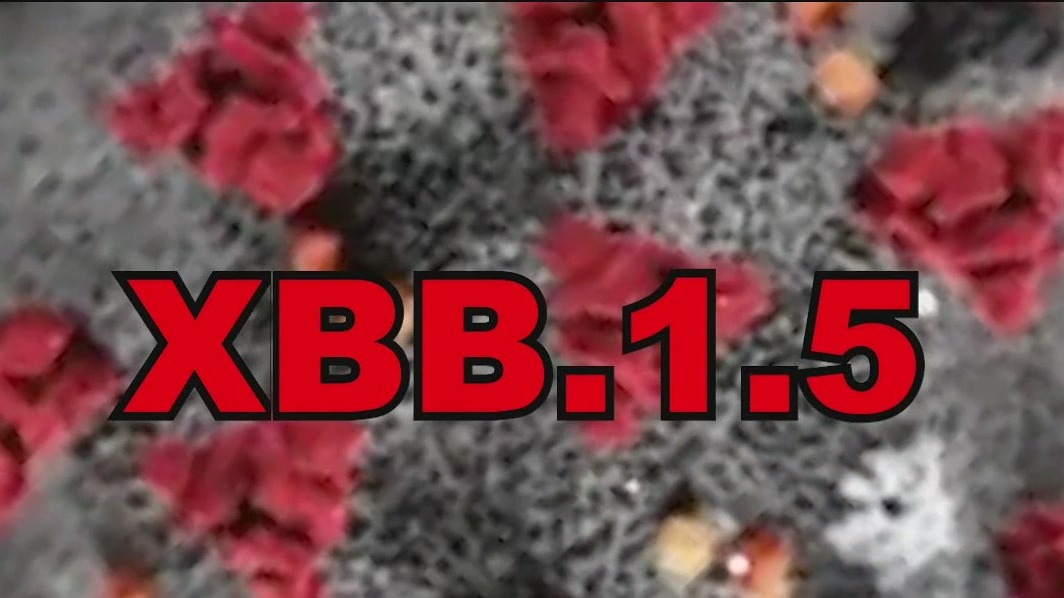 New COVID-19 strain XBB. 1.5 is spreading rapidly across the U.S.