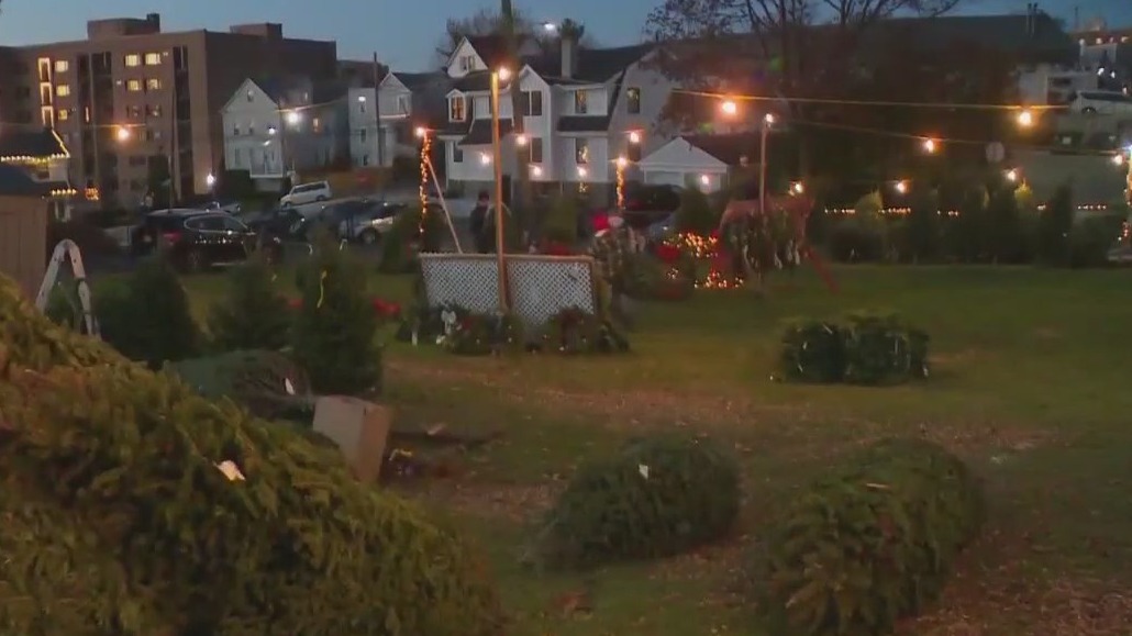 Christmas tree shortage concerns