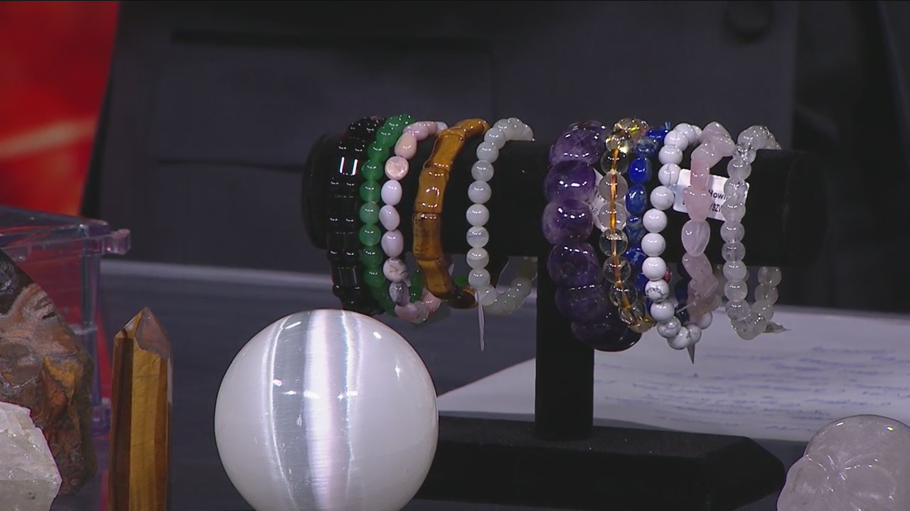 Psychic and Holistic Fair in Livonia