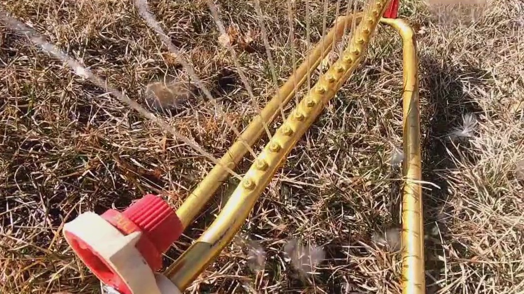 Minnesota lawn care tips for early spring