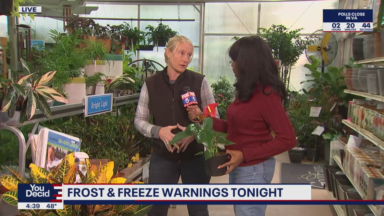 Taking care of your plants amid frost and freeze warnings