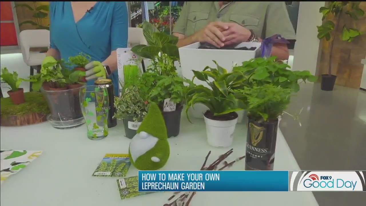 How to make your own leprechaun garden