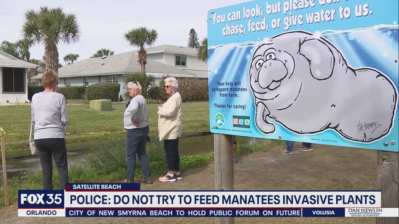 Police: Do not feed invasive plants to manatees