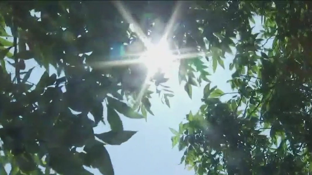 Texans urged to stay hydrated as summer approaches
