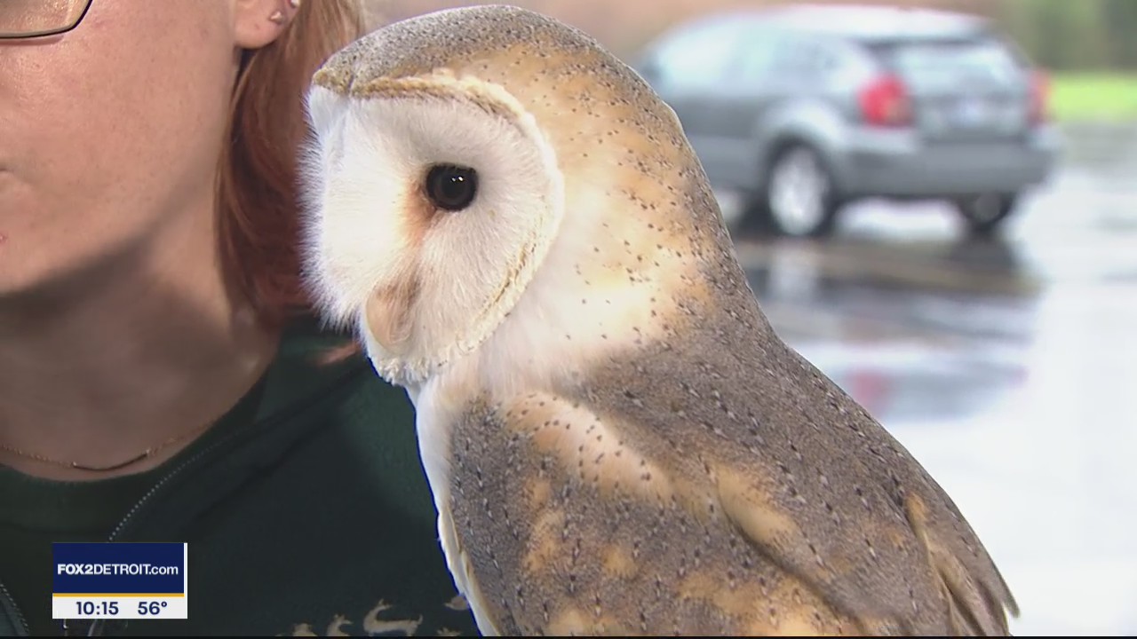 Spooky Animals from The Howell Nature Center