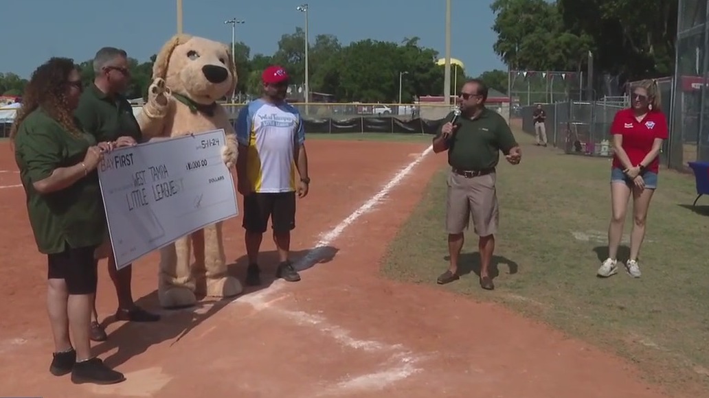 Tampa baseball field gets upgrades